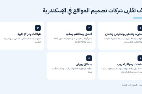كيف تقارن شركات تصميم المواقع في الإسكندرية