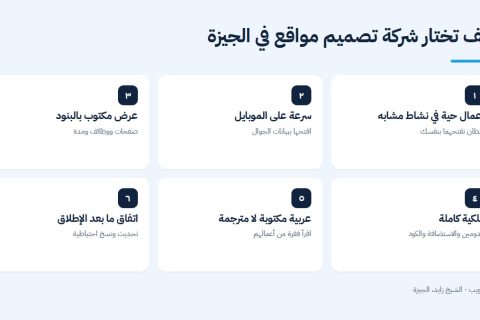معايير اختيار أفضل شركة تصميم مواقع في الجيزة