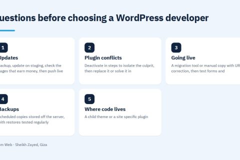 Questions before choosing a WordPress developer