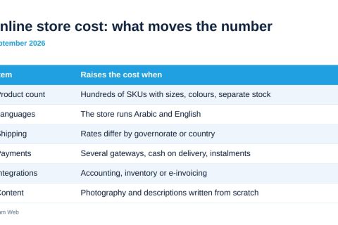 Table of online store cost drivers and what raises the price