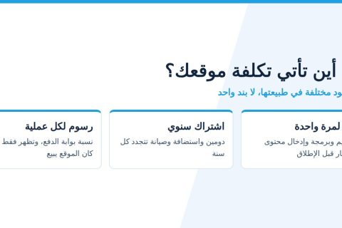 رسم يوضح بنود تكلفة تصميم موقع في مصر بين بناء لمرة واحدة واشتراك سنوي ورسوم لكل عملية