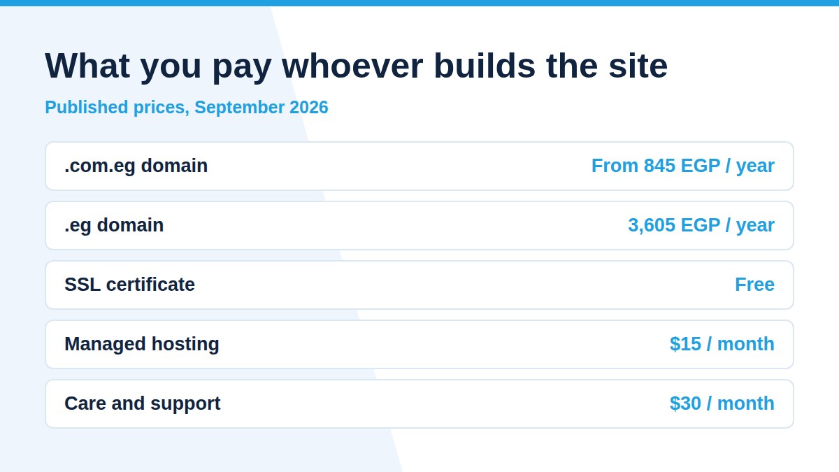 Fixed annual items in website cost in Egypt, from domain registration to managed hosting